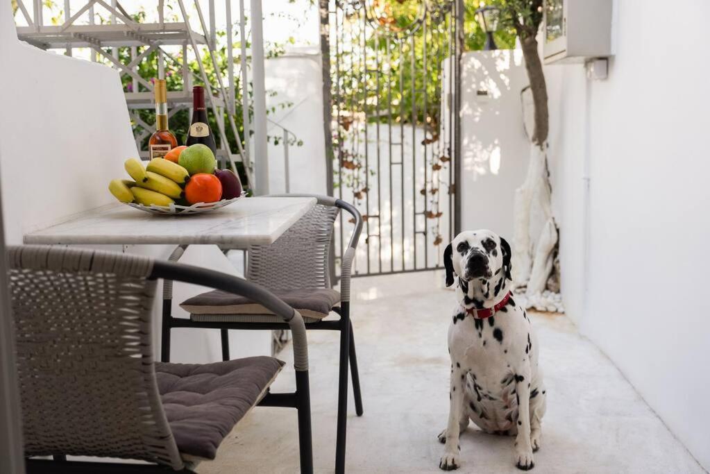 Villa Artemis Cycladic Charmed ! Athen Eksteriør bilde